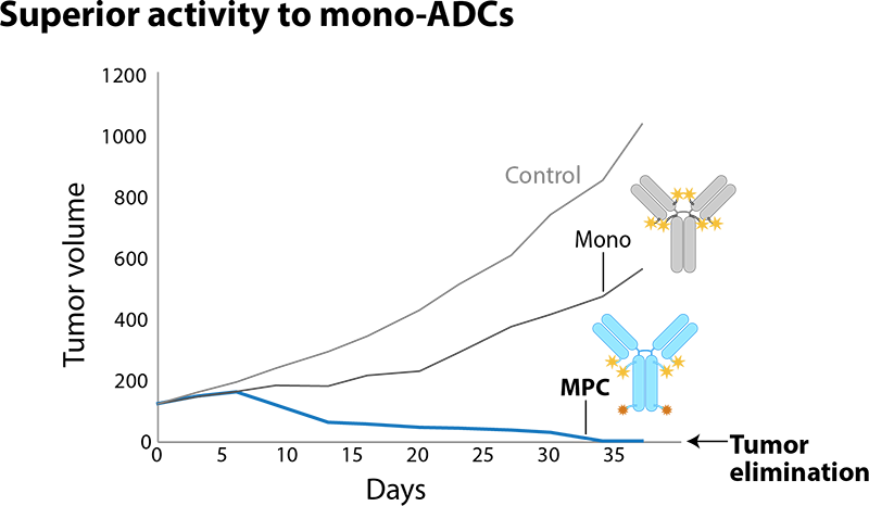 graph showing superior activity to mono-ADCs